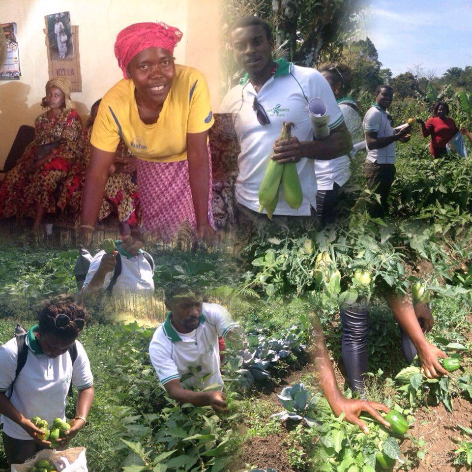 SR4K Sustainable Farming project 